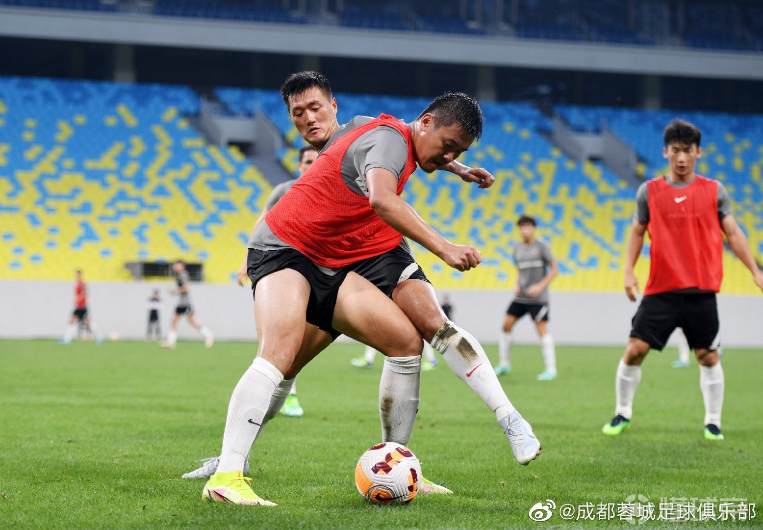 责令退缴和责令退赔的区别