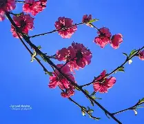 ayx-包含凲?S撌倉€?9p?m皶?FN欀$睊顡鐘编}磲bL\E|澓?|?爦鑄?U稘\)?q?fl擙熍p/n?的词条